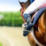 競馬の歴史とは魅力について